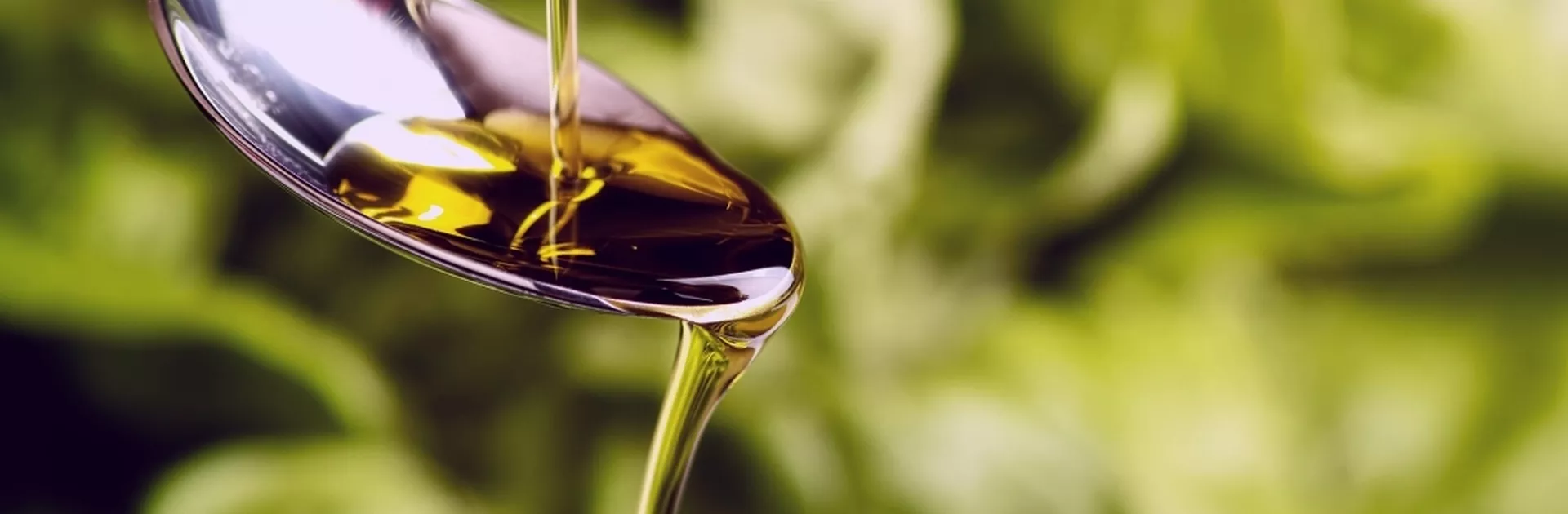 Blog-Header-Cannabis-Olive-Oil-recipe.webp