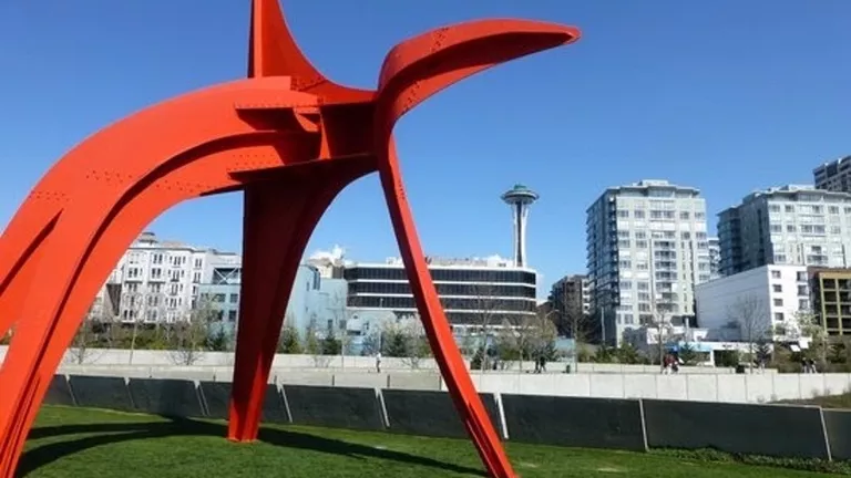 Take a few hours off from your studies, to visit Seattle’s very own Olympic Sculpture Park.