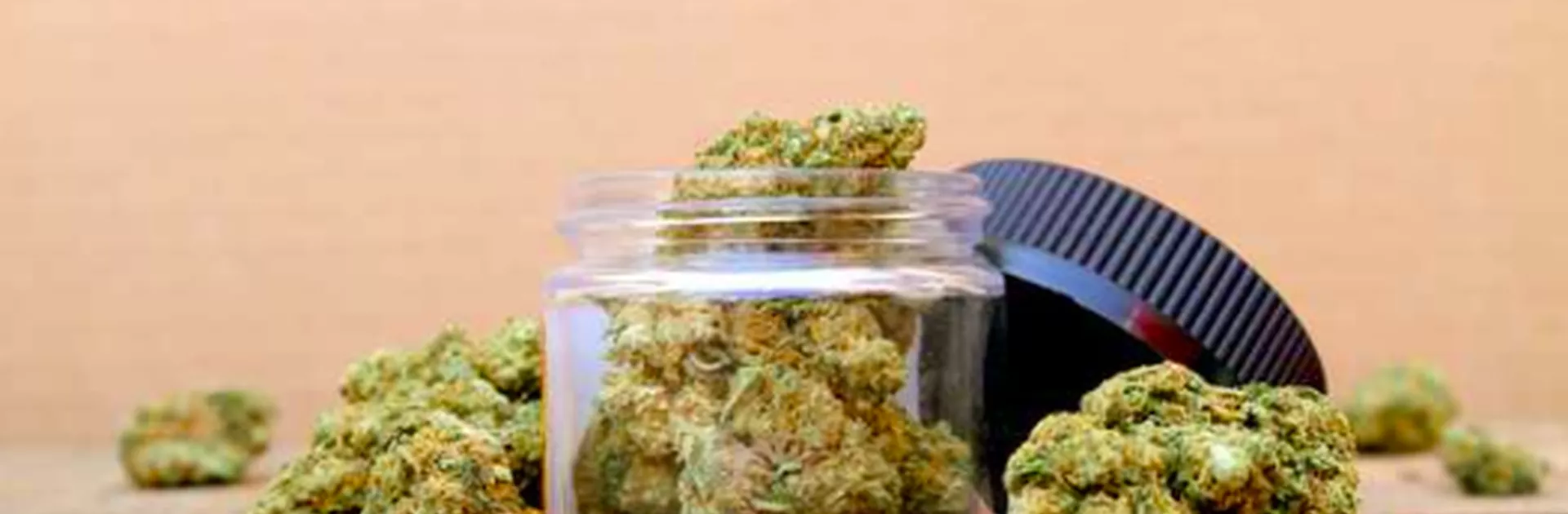 SATIVA VS INDICA VS HYBRID_WHAT TO KNOW ABOUT CANNABIS STRAINS.png